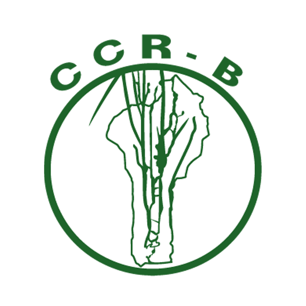 CCR-B Logo